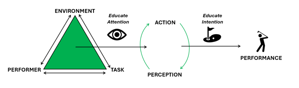 CLA Model